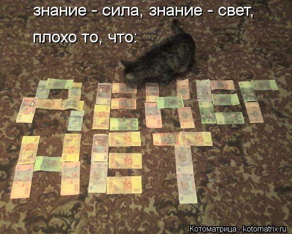 Котоматрица: знание - сила, знание - свет, плохо то, что: