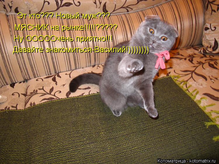 Котоматрица: Эт кто??? Новый муж???  МЯСНИК на рынке!!!!!????? Ну ОООООчень приятно!!! Давайте знакомиться-Василий!))))))))