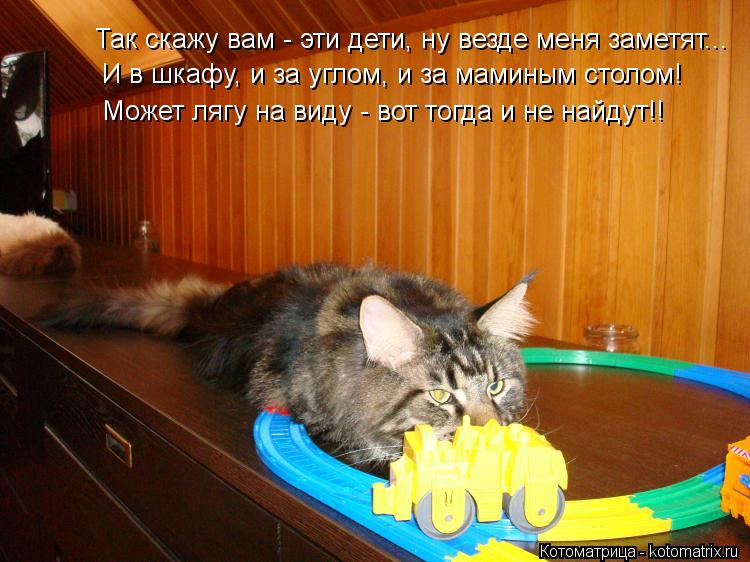Котоматрица: Так скажу вам - эти дети, ну везде меня заметят... И в шкафу, и за углом, и за маминым столом! Может лягу на виду - вот тогда и не найдут!!