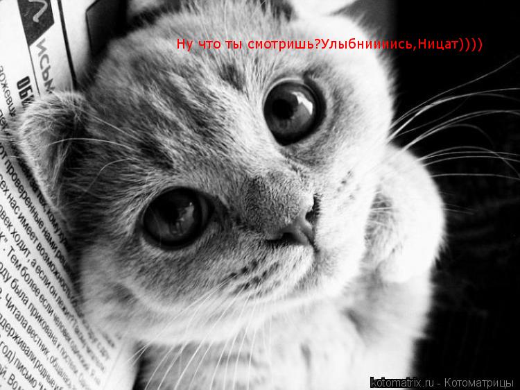 Котоматрица: Ну что ты смотришь?Улыбниииись,Ницат))))