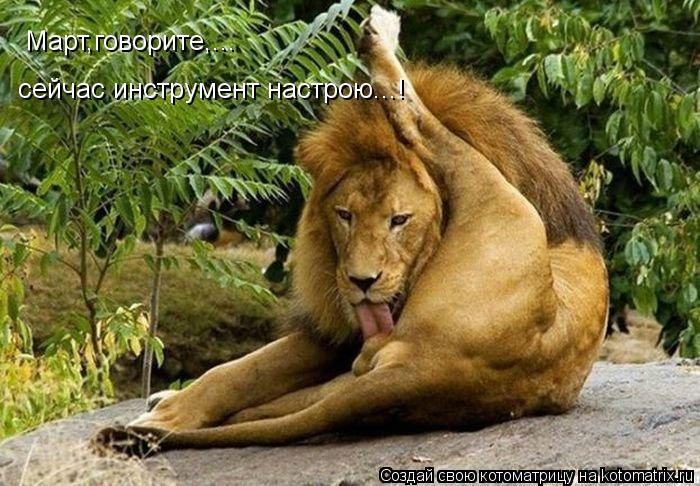 Котоматрица: Март,говорите,... сейчас инструмент настрою...!
