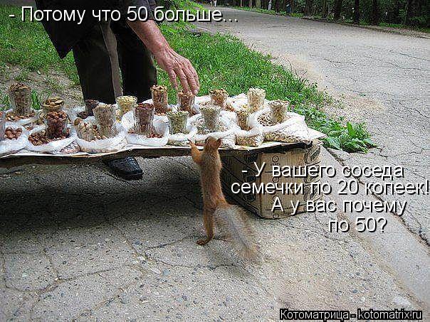 Котоматрица: - У вашего соседа  семечки по 20 копеек! А у вас почему по 50? - Потому что 50 больше...