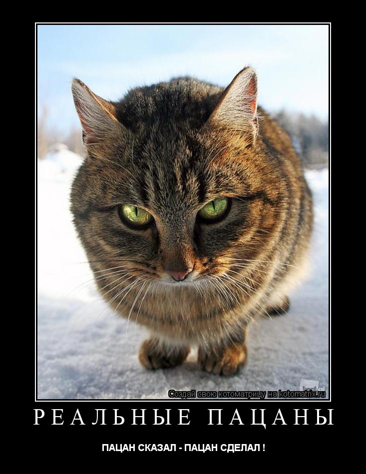 Котоматрица: РЕАЛЬНЫЕ ПАЦАНЫ ПАЦАН СКАЗАЛ - ПАЦАН СДЕЛАЛ !