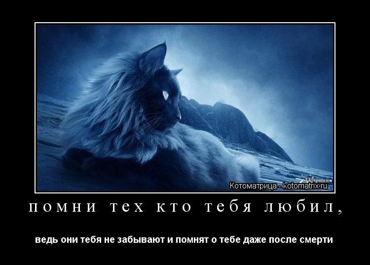 помни тех кто тебя любил, ведь они тебя не забывают и помнят о тебе даже после смерти ... Котоматрица: помни тех кто тебя любил, ведь они тебя не забывают и помнят о тебе даже после смерти
