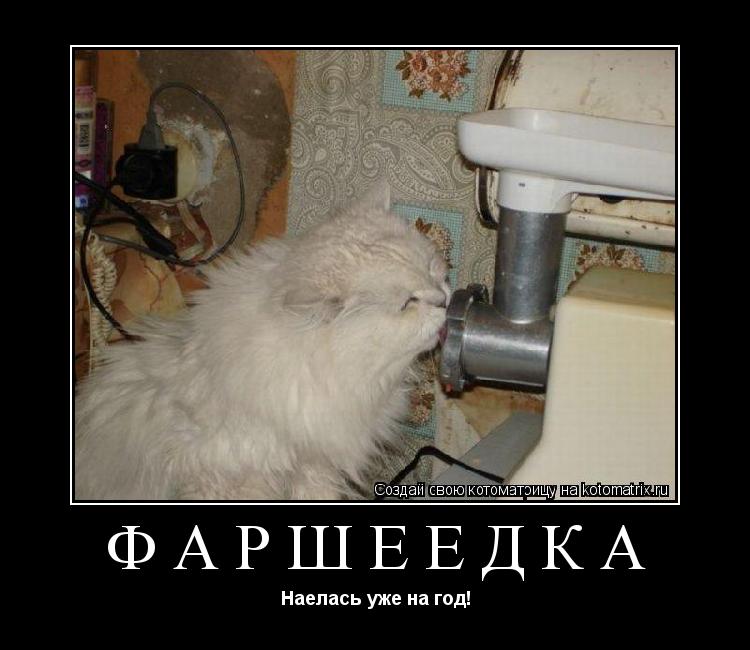 ФАРШЕЕДКА Наелась уже на год!... Котоматрица: ФАРШЕЕДКА Наелась уже на год!