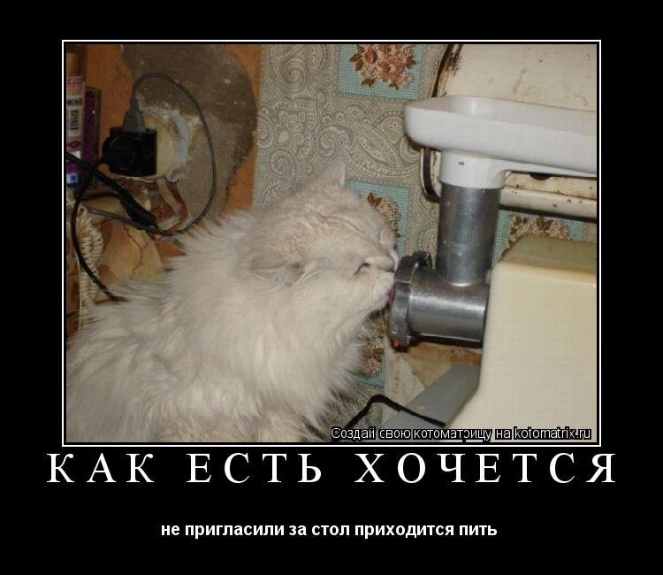 КАК ЕСТЬ ХОЧЕТСЯ не пригласили за стол приходится пить ... Котоматрица: КАК ЕСТЬ ХОЧЕТСЯ не пригласили за стол приходится пить