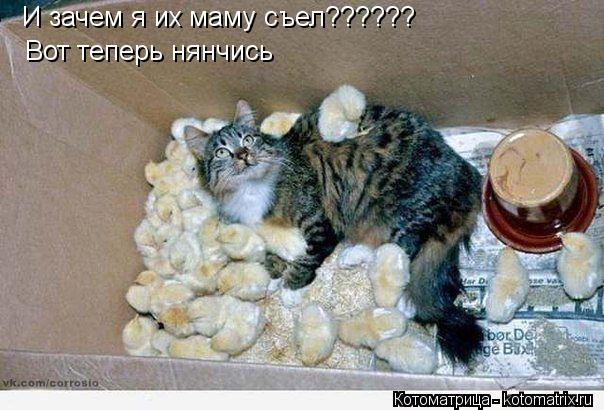 Котоматрица: И зачем я их маму съел?????? Вот теперь нянчись