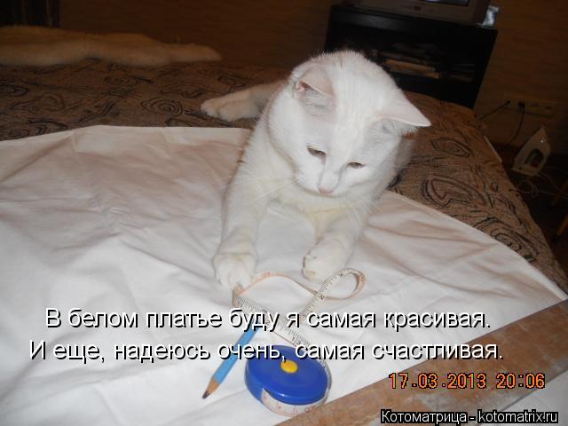 В белом платье буду я самая красивая. И еще, надеюсь очень, самая счастливая.... Котоматрица: В белом платье буду я самая красивая. И еще, надеюсь очень, самая счастливая.