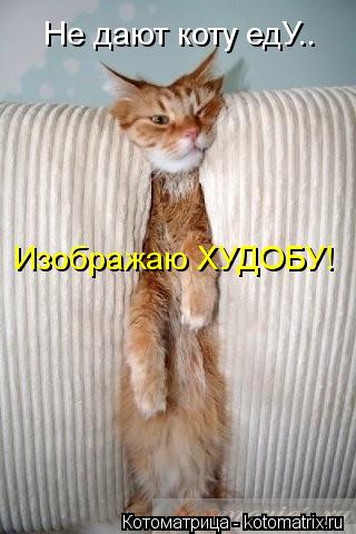 Изображаю ХУДОБУ! Не дают коту едУ..... Котоматрица: Изображаю ХУДОБУ! Не дают коту едУ..