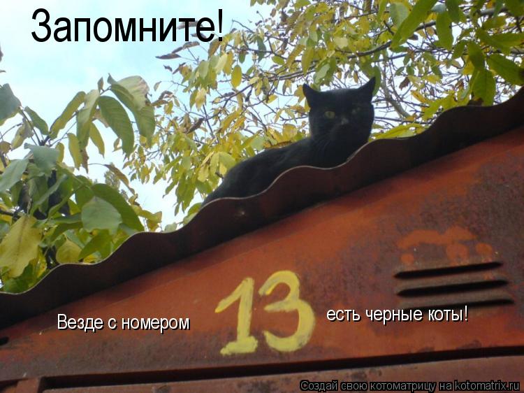 Запомните! Везде с номером есть черные коты!... Котоматрица: Запомните! Везде с номером есть черные коты!