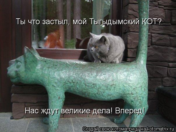 Котоматрица: Ты что застыл, мой Тыгыдымский КОТ? Нас ждут великие дела! Вперед!