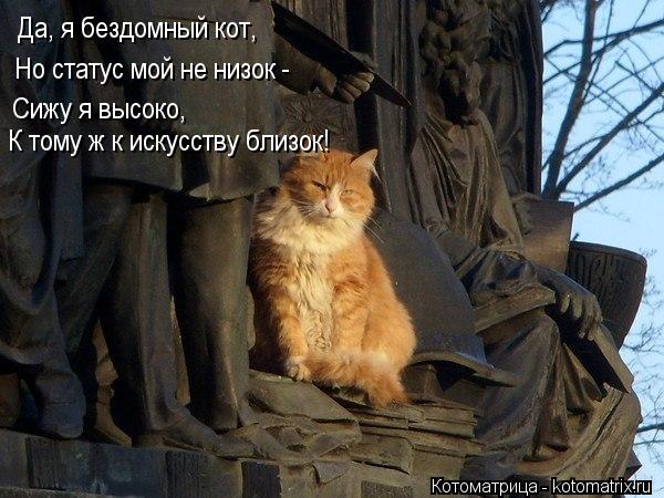 Котоматрица: Да, я бездомный кот, Но статус мой не низок - Сижу я высоко Сижу я высоко, К тому ж к искусству близок!