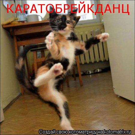 Котоматрица: КАРАТОБРЕЙКДАНЦ