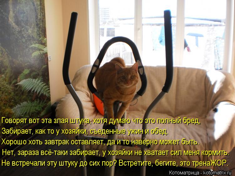Котоматрица: Говорят вот эта злая штука, хотя думаю что это полный бред, Забирает, как то у хозяйки, съеденные ужин и обед. Хорошо хоть завтрак оставляет, 