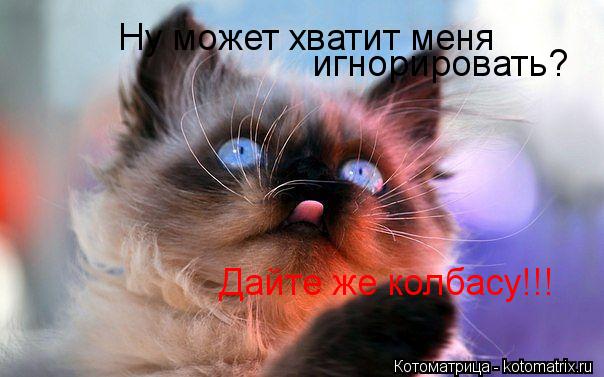 Ну может хватит меня игнорировать? Дайте же колбасу!!!... Котоматрица: Ну может хватит меня игнорировать? Дайте же колбасу!!!