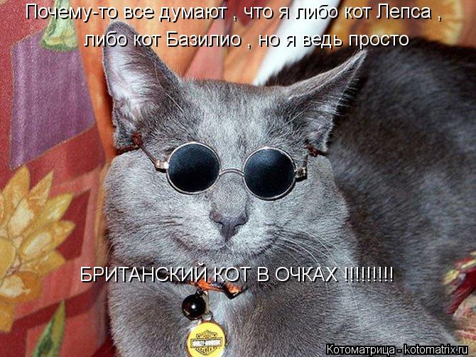 Почему-то все думают , что я либо кот Лепса , либо кот Базилио , но я ведь просто БРИТАНСКИЙ КОТ В ... Котоматрица: Почему-то все думают , что я либо кот Лепса , либо кот Базилио , но я ведь просто БРИТАНСКИЙ КОТ В ОЧКАХ !!!!!!!!!