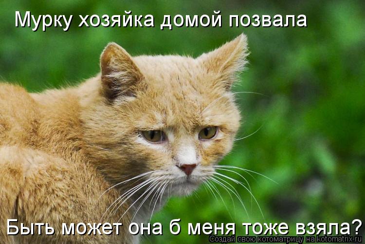 Мурку хозяйка домой позвала Быть может она б меня тоже взяла?... Котоматрица: Мурку хозяйка домой позвала Быть может она б меня тоже взяла?