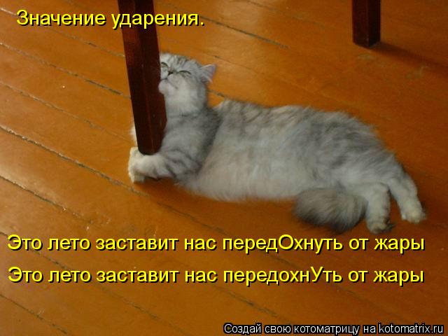 Значение ударения. Это лето заставит нас передОхнуть от жары Это лето заставит нас передохнУть от жар... Котоматрица: Значение ударения. Это лето заставит нас передОхнуть от жары Это лето заставит нас передохнУть от жары