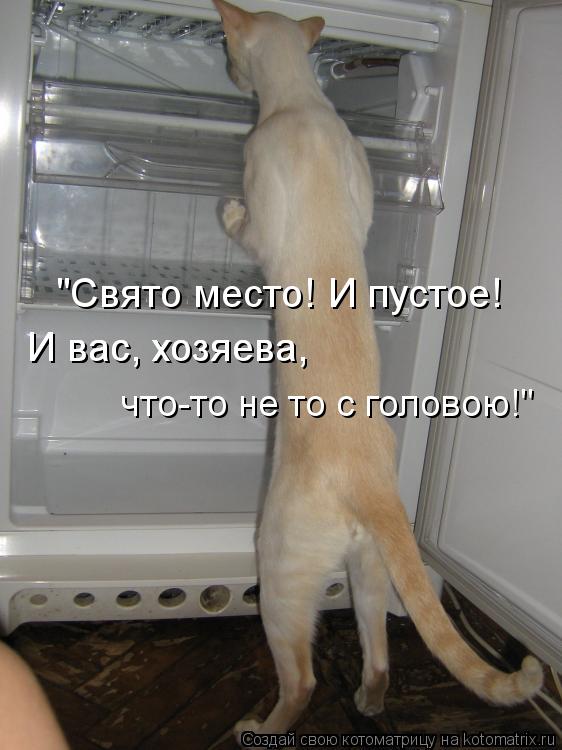 "Свято место! И пустое! И вас, хозяева, И вас, хозяева, что-то не то с головою!"... Котоматрица: "Свято место! И пустое! И вас, хозяева, И вас, хозяева, что-то не то с головою!"
