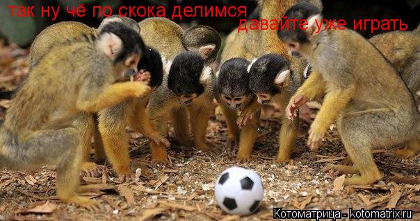Котоматрица: так ну чё по скока делимся давайте уже играть