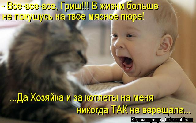 Котоматрица: - Все-все-все, Гриш!!! В жизни больше  не покушусь на твое мясное пюре! никогда ТАК не верещала... ...Да Хозяйка и за котлеты на меня