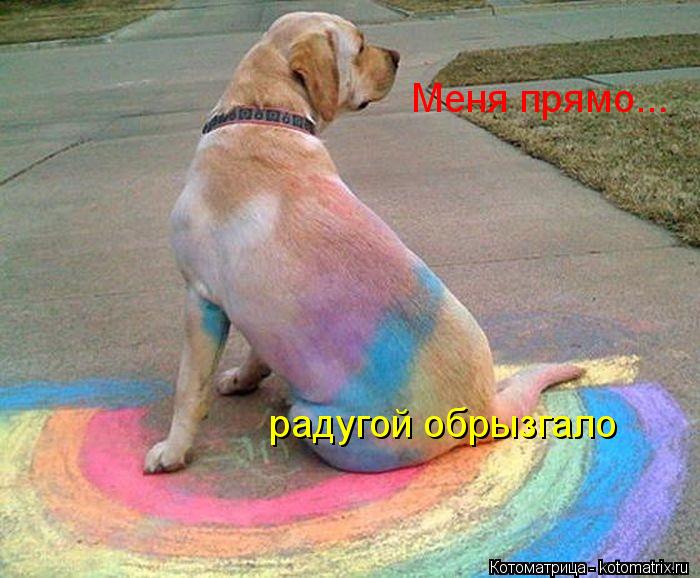 Меня прямо... радугой обрызгало... Котоматрица: Меня прямо... радугой обрызгало