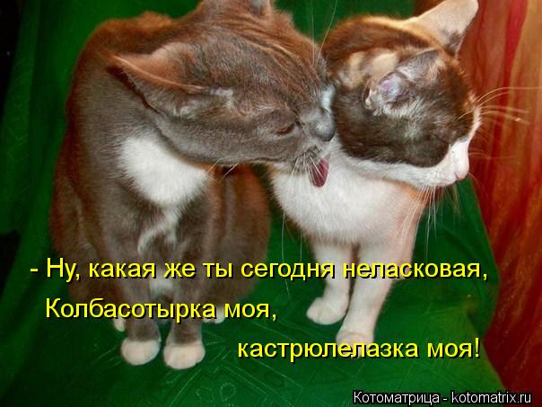 Котоматрица: - Ну, какая же ты сегодня неласковая, Колбасотырка моя, кастрюлелазка моя!
