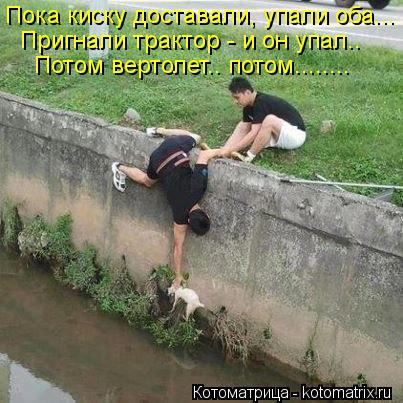 Пока киску доставали, упали оба... Пригнали трактор - и он упал.. Потом вертолет.. потом........... Котоматрица: Пока киску доставали, упали оба... Пригнали трактор - и он упал.. Потом вертолет.. потом........