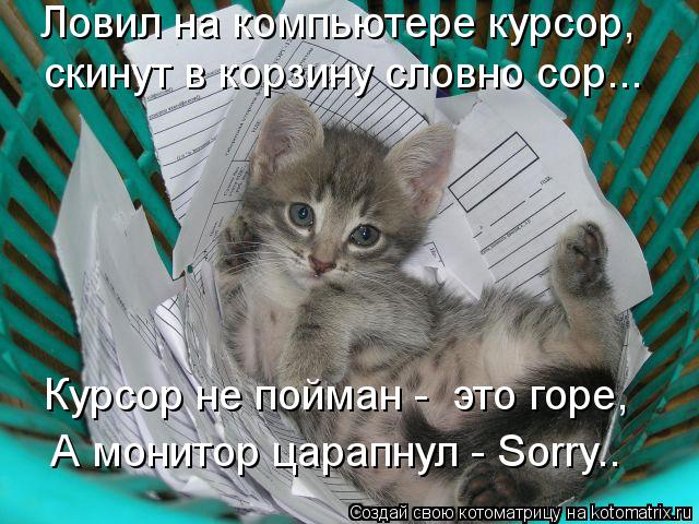 Ловил на компьютере курсор, скинут в корзину словно сор... Курсор не пойман - это горе, А монитор ца... Котоматрица: Ловил на компьютере курсор, скинут в корзину словно сор... Курсор не пойман - это горе, А монитор царапнул - Sorry..