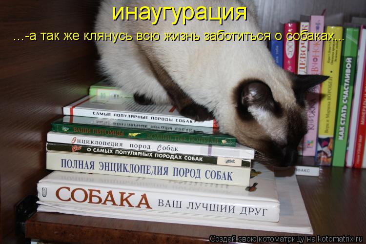 Котоматрица: инаугурация ...-а так же клянусь всю жизнь заботиться о собаках...