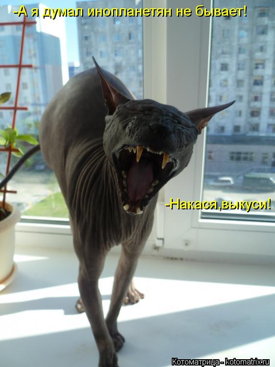 -А я думал инопланетян не бывает! -Накася,выкуси!... Котоматрица: -А я думал инопланетян не бывает! -Накася,выкуси!