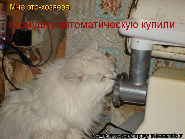 Мне это -хозяева кормушку автоматическую купили Мне это-хозяева Мне это-хозяева... Котоматрица: Мне это -хозяева кормушку автоматическую купили Мне это-хозяева Мне это-хозяева