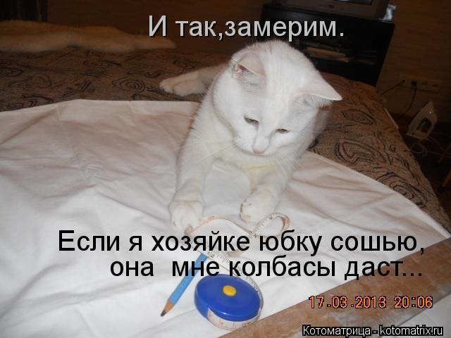 И так,замерим. Если я хозяйке юбку сошью, она мне колбасы даст...... Котоматрица: И так,замерим. Если я хозяйке юбку сошью, она мне колбасы даст...