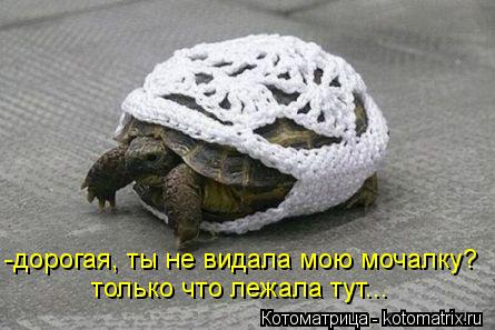 Котоматрица: -дорогая, ты не видала мою мочалку? только что лежала тут...