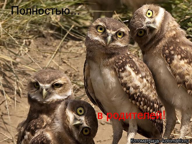 Полностью... в родителей!... Котоматрица: Полностью... в родителей!