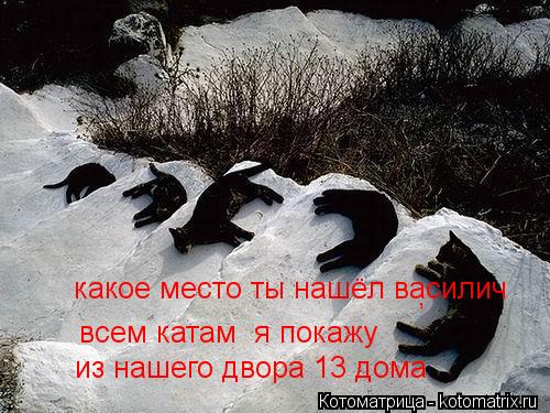 всем катам я покажу из нашего двора 13 дома , какое место ты нашёл василич... Котоматрица: всем катам я покажу из нашего двора 13 дома , какое место ты нашёл василич
