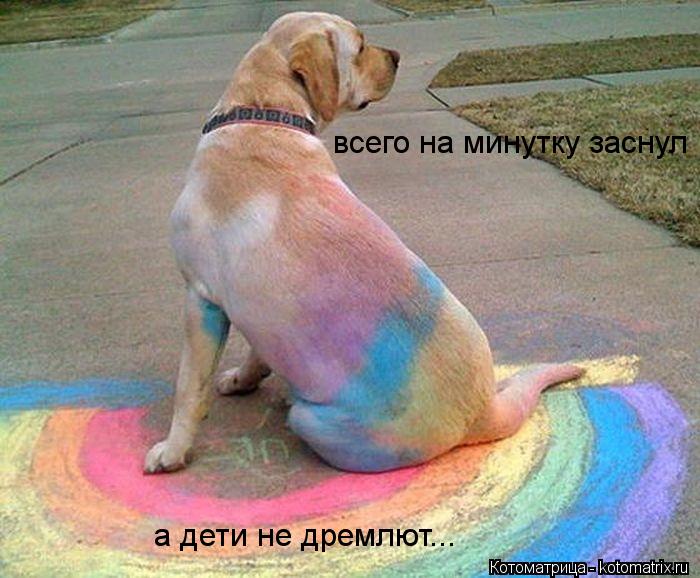 всего на минутку заснул а дети не дремлют...... Котоматрица: всего на минутку заснул а дети не дремлют...