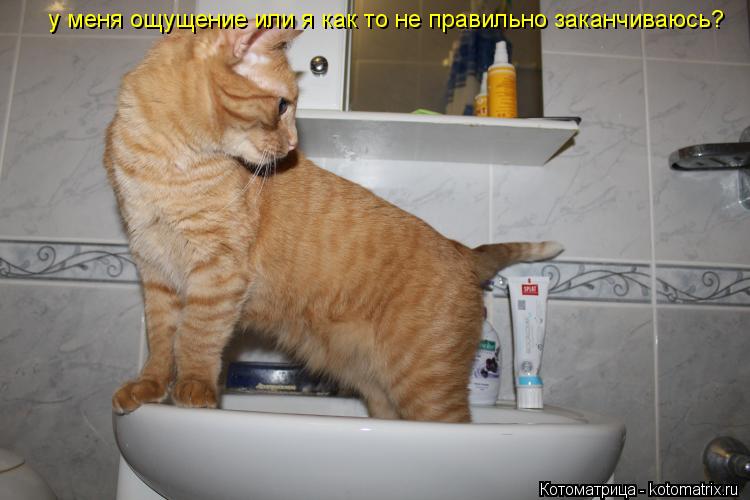 у меня ощущение или я как то не правильно заканчиваюсь?... Котоматрица: у меня ощущение или я как то не правильно заканчиваюсь?
