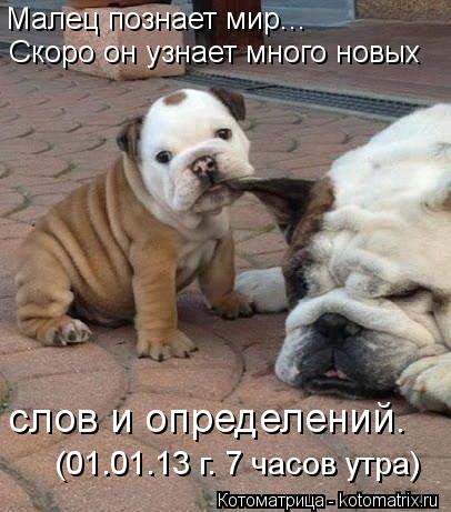 Котоматрица: Малец познает мир... Скоро он узнает много новых  слов и определений. (01.01.13 г. 7 часов утра)