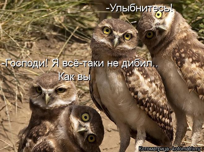 -Улыбнитесь! -Господи! Я всё-таки не дибил.. Как вы... Котоматрица: -Улыбнитесь! -Господи! Я всё-таки не дибил.. Как вы