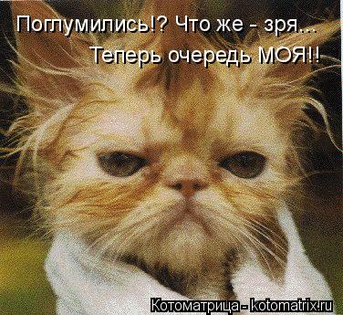 Поглумились!? Что же - зря... Теперь очередь МОЯ!!... Котоматрица: Поглумились!? Что же - зря... Теперь очередь МОЯ!!