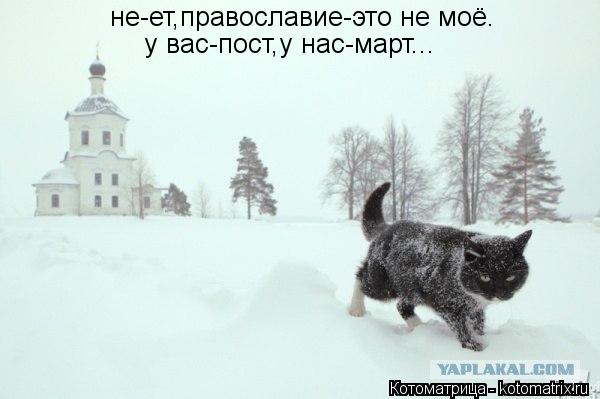 не-ет,православие-это не моё. у вас-пост,у нас-март...... Котоматрица: не-ет,православие-это не моё. у вас-пост,у нас-март...