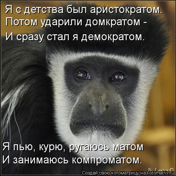 Котоматрица: Я с детства был аристократом. Потом ударили домкратом -  И сразу стал я демократом. Я пью, курю, ругаюсь матом И занимаюсь компроматом.