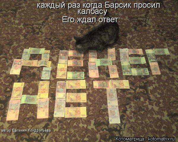 каждый раз когда Барсик просил каждый раз когда Барсик просил калбасу Его ждал ответ: автар Евгения К... Котоматрица: каждый раз когда Барсик просил каждый раз когда Барсик просил калбасу Его ждал ответ: автар Евгения Кондратьева