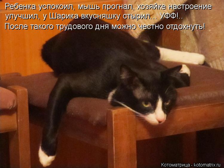 Ребенка успокоил, мышь прогнал, хозяйке настроение улучшил, у Шарика вкусняшку стырил... УФФ!.. После... Котоматрица: Ребенка успокоил, мышь прогнал, хозяйке настроение улучшил, у Шарика вкусняшку стырил... УФФ!.. После такого трудового дня можно честно отдох