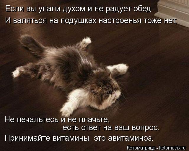 Котоматрица: Если вы упали духом и не радует обед И валяться на подушках настроенья тоже нет, Не печальтесь и не плачьте, есть ответ на ваш вопрос. Приним