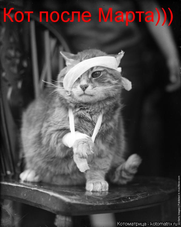 Котоматрица: Кот после Марта)))