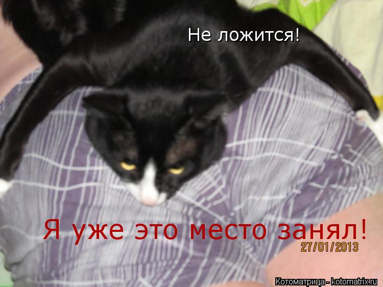 Не ложится! Я уже это место занял!... Котоматрица: Не ложится! Я уже это место занял!