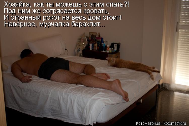 Котоматрица: Хозяйка, как ты можешь с этим спать?! Под ним же сотрясается кровать, И странный рокот на весь дом стоит! Наверное, мурчалка барахлит...