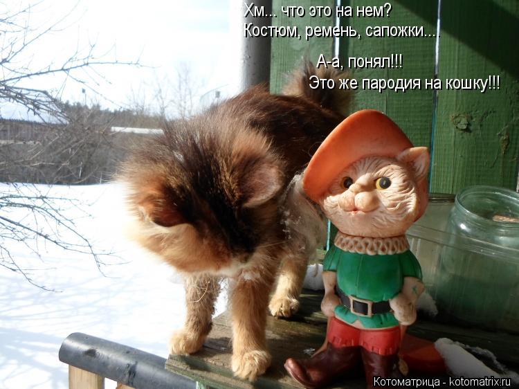 Котоматрица: А-а, понял!!! Хм... что это на нем? Костюм, ремень, сапожки.... Это же пародия на кошку!!!